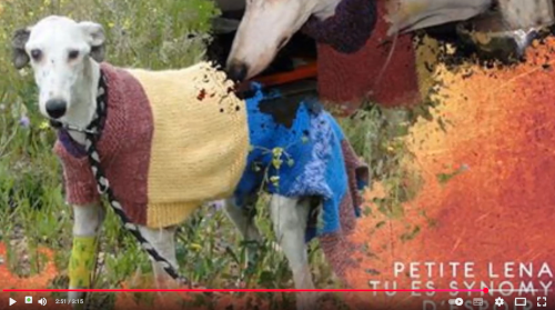 Vidéoclip Pour les Galgos par Xhenon